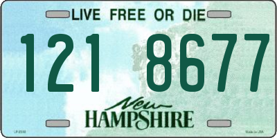 NH license plate 1218677