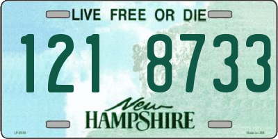 NH license plate 1218733