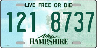 NH license plate 1218737