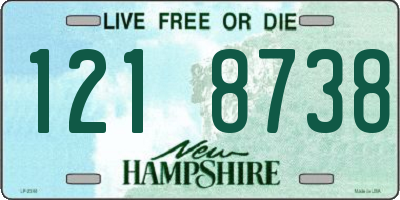 NH license plate 1218738