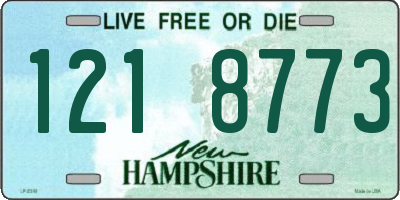NH license plate 1218773