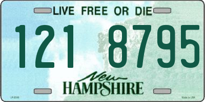 NH license plate 1218795