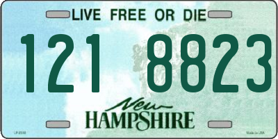 NH license plate 1218823