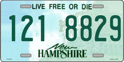 NH license plate 1218829