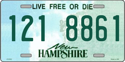 NH license plate 1218861