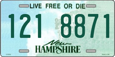 NH license plate 1218871