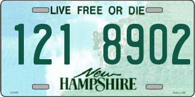 NH license plate 1218902