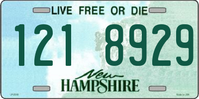 NH license plate 1218929