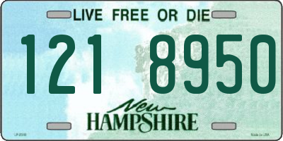 NH license plate 1218950