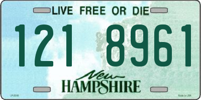 NH license plate 1218961