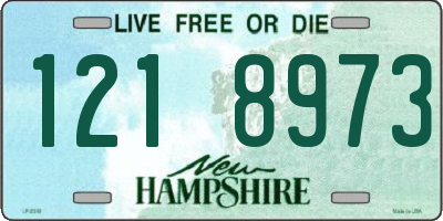 NH license plate 1218973