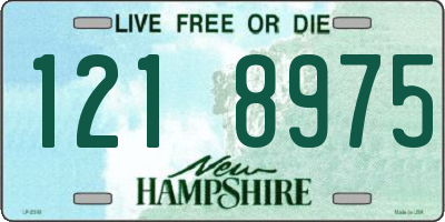 NH license plate 1218975