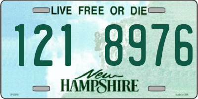 NH license plate 1218976