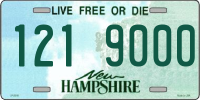 NH license plate 1219000