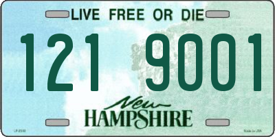 NH license plate 1219001