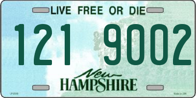 NH license plate 1219002