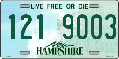 NH license plate 1219003