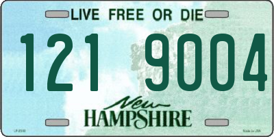 NH license plate 1219004