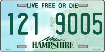 NH license plate 1219005