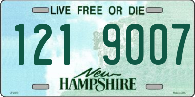 NH license plate 1219007