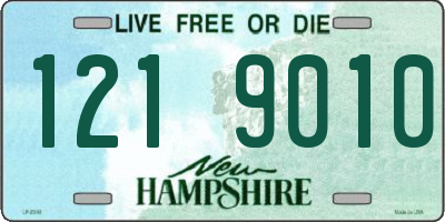 NH license plate 1219010