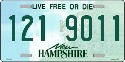 NH license plate 1219011