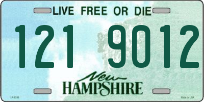 NH license plate 1219012