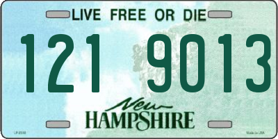 NH license plate 1219013