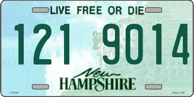 NH license plate 1219014