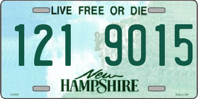 NH license plate 1219015