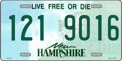 NH license plate 1219016