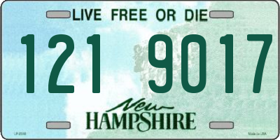 NH license plate 1219017