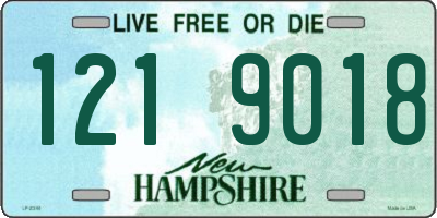 NH license plate 1219018