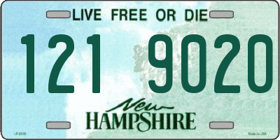 NH license plate 1219020