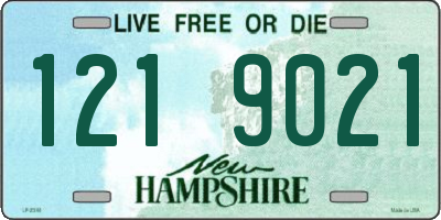 NH license plate 1219021