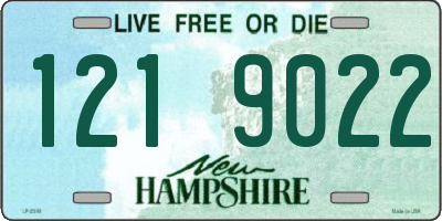 NH license plate 1219022