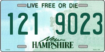 NH license plate 1219023