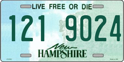 NH license plate 1219024