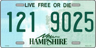 NH license plate 1219025