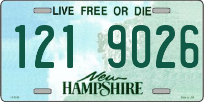 NH license plate 1219026