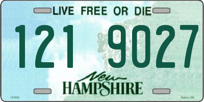 NH license plate 1219027