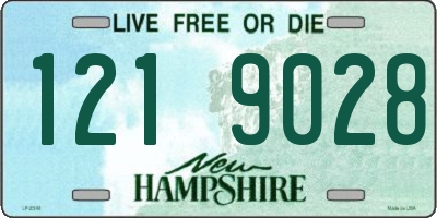 NH license plate 1219028