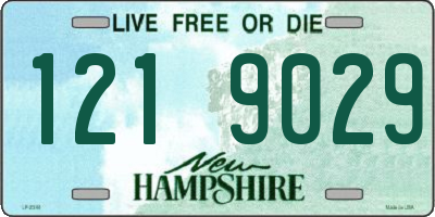 NH license plate 1219029