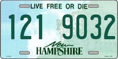 NH license plate 1219032