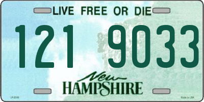 NH license plate 1219033