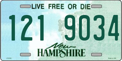 NH license plate 1219034