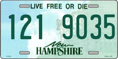 NH license plate 1219035