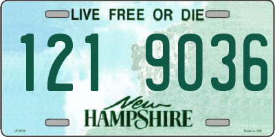 NH license plate 1219036