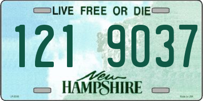 NH license plate 1219037