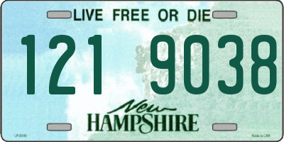 NH license plate 1219038